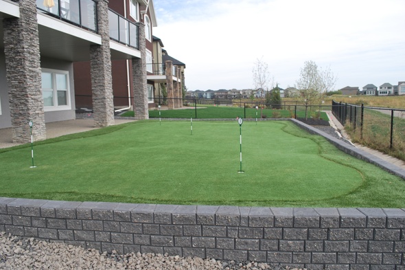 Edmonton residential backyard putting green grass near modern home with golf flags