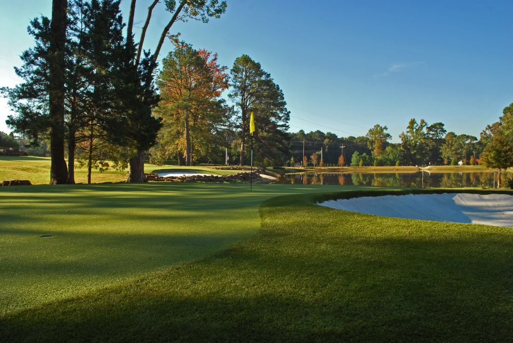 Edmonton Artificial Turf Golf Course