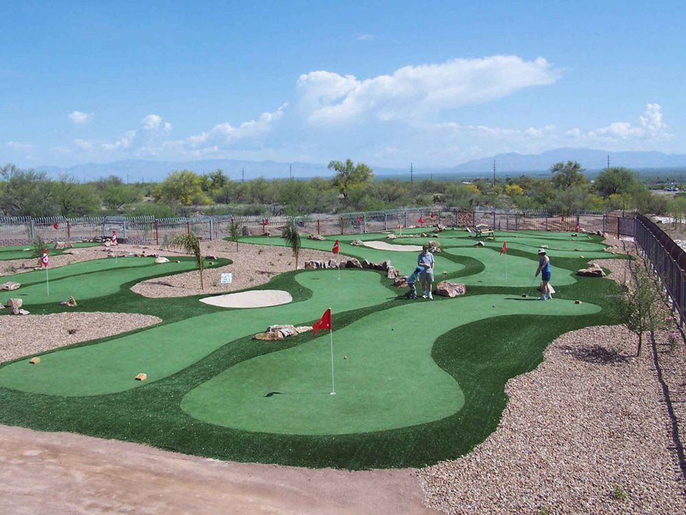Edmonton putting green grass