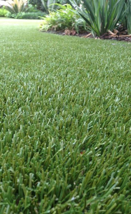 Edmonton artificial grass