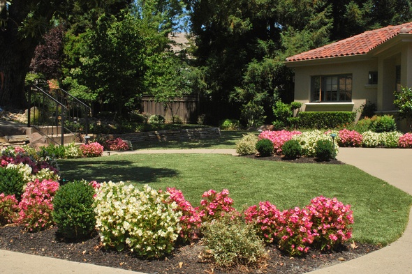 Edmonton Artificial Turf Lansdscaping